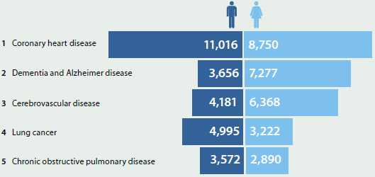 Bar chart comparing the leading causes of death in males and females in 2013. Coronary heart disease was the biggest killer for both sexes, causing 11016 male deaths and 8750 female deaths. Other leading causes of death are dementia and Alzheimer disease, cerebrovascular disease, lung cancer and chronic obstructive pulmonary disease.