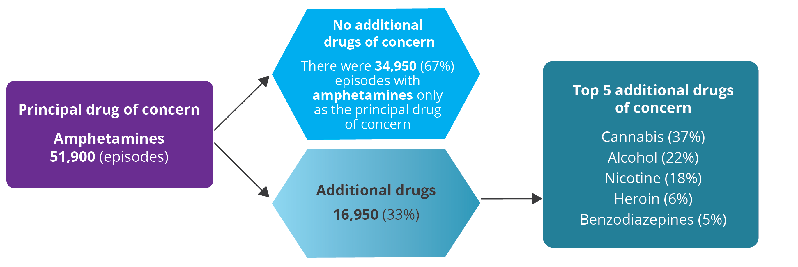 The flow chart shows amphetamines as a principal drug of concern broken down by additional drugs of concern.