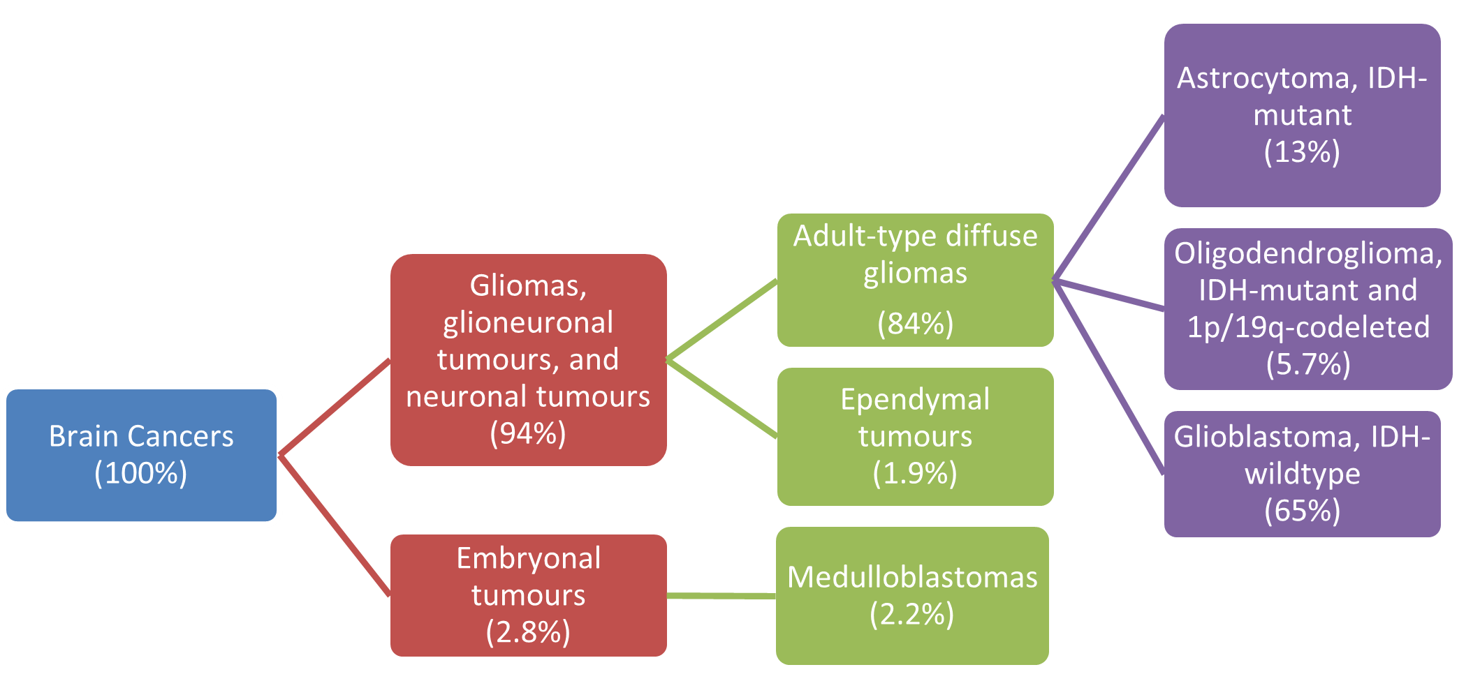 Figure 7 shows the incidence of selected histology types for brain cancer diagnosed in persons in 2019. Four levels of histology types are shown and increases in specificity from left to right. The percentage (%) of cases diagnosed for each histology type at each level as a proportion of the cases from the upper level that the histology type belongs to. For example, brain cancers (100%) are comprised of 93% Gliomas, glioneuronal tumours, and neuronal tumours and 3% of embryonal tumours. Noting that not all histology types are shown.