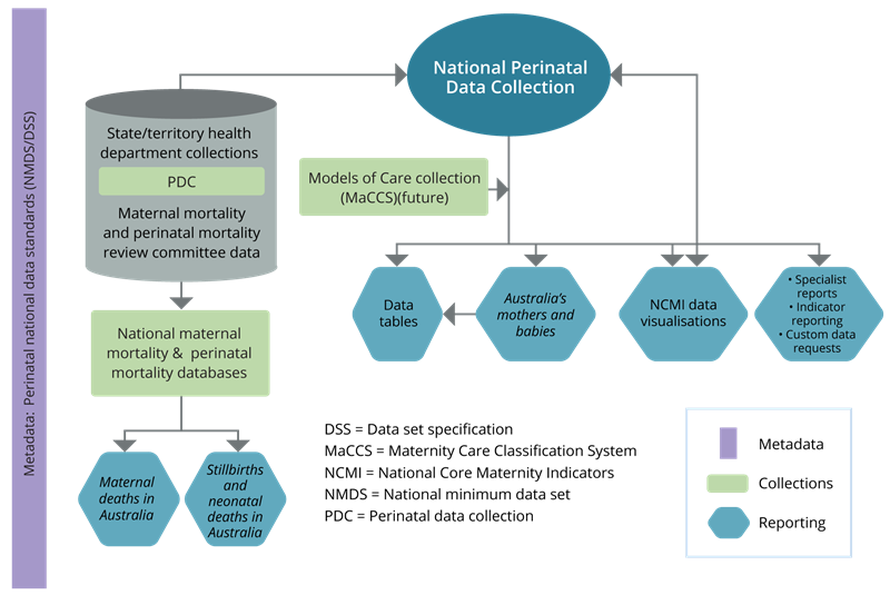 A flow chart showing the interactions between maternal and perinatal data collections and reporting products