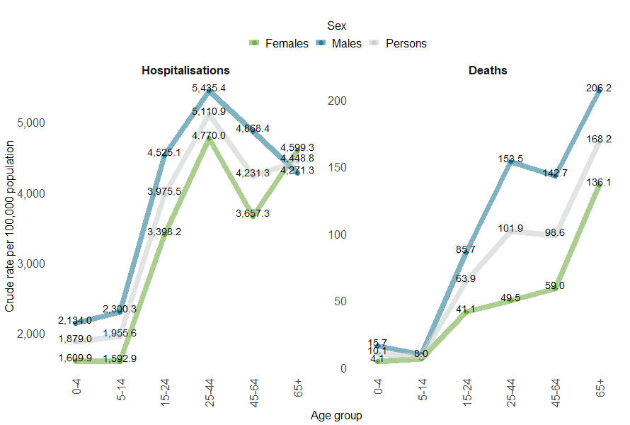 Figure 12 shows crude rates of injury hospitalisations and deaths by age group and sex. Rates of hospitalisations were highest in the 25-44 age group.